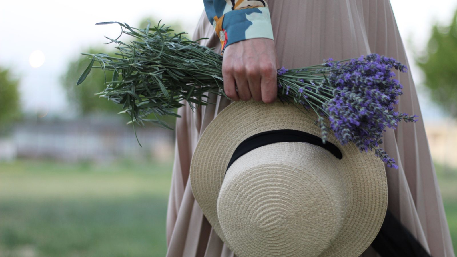 A bunch of lavender for use in skincare